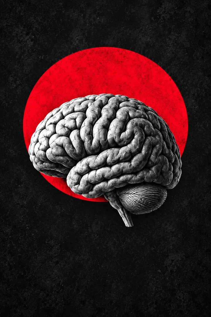 Cerebral Contour Doctor's Office Wall Art