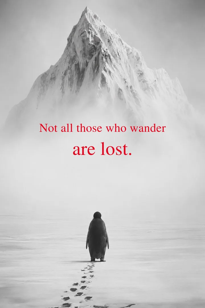 Not All Those Who Wander: Not all those who wander are lost.